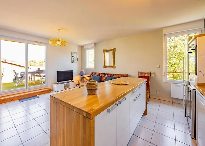 公寓 La Viguiere - Terrasse - 阿尔比